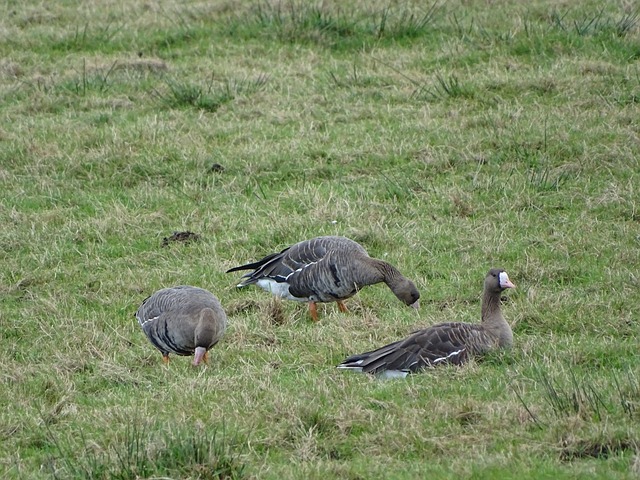 充分利用球 充分利用球