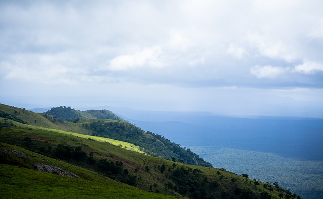 每一部分都 每一部分都