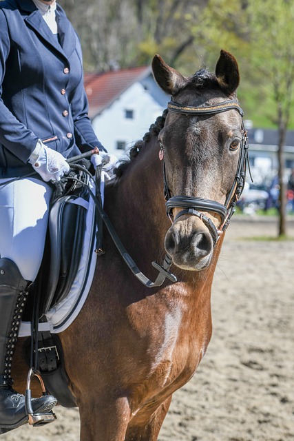 自然吸引了 自然吸引了