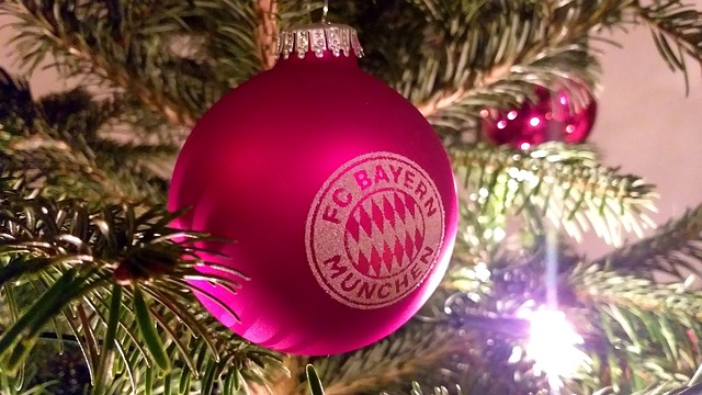 的坚实支撑 的坚实支撑