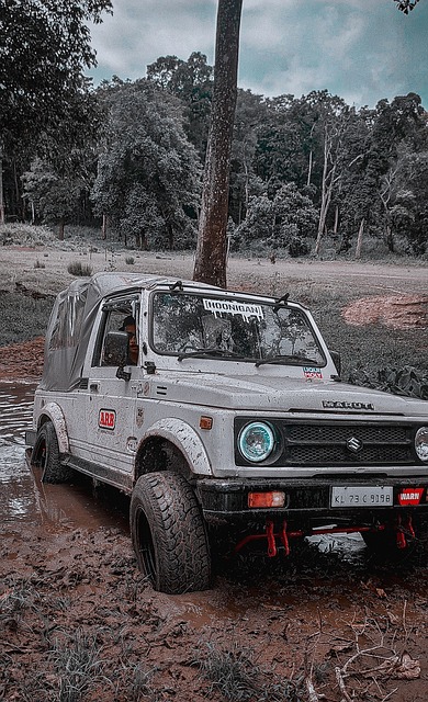 頂級球星 頂級球星