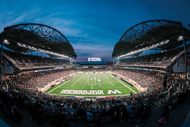 示了欧洲足
